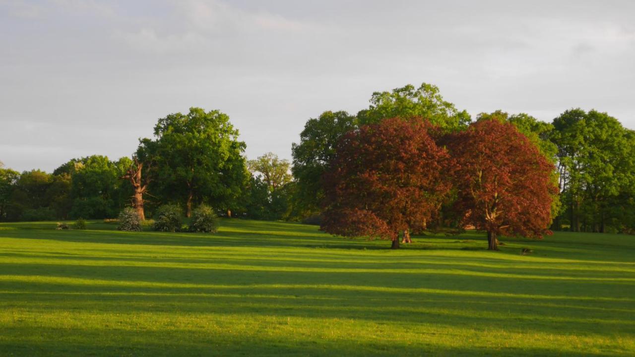 Henley Hall, לאדלו מראה חיצוני תמונה